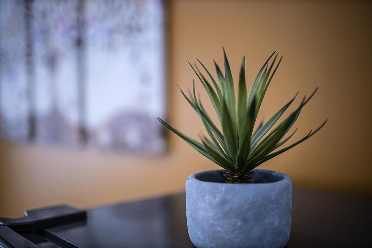 Escape Time - Paris Apartment Gentilly Ngoại thất bức ảnh